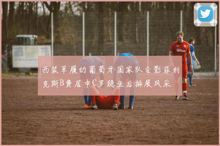 西装革履的葡萄牙国家队合影菲利克斯B费居中C罗稳坐后排展风采