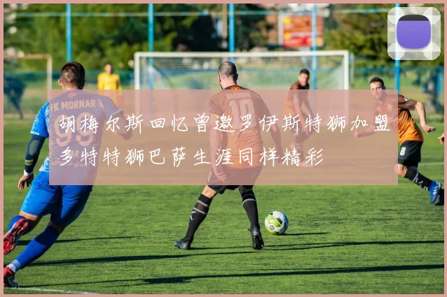 胡梅尔斯回忆曾邀罗伊斯特狮加盟多特特狮巴萨生涯同样精彩